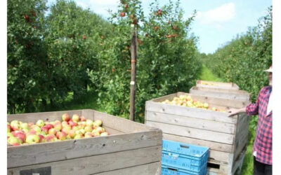 Woensdag 8 oktober: open kringavond Duurzaamheid: Voeding