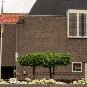 DGA Agenda Header2500x800