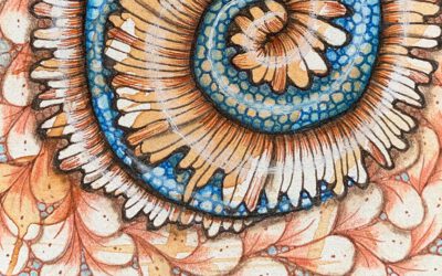 Zin-Inn | Cursus Zentangle met Carla Jooren op 14 en 28 februari en op 14 maart