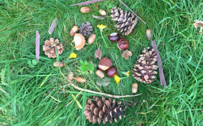 Oogstfeest KliederZin op 16 oktober