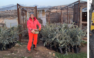 Zin-Inn lezing 14 april | Tent of Nations door Jannie Nijweening en Danijel Horvat